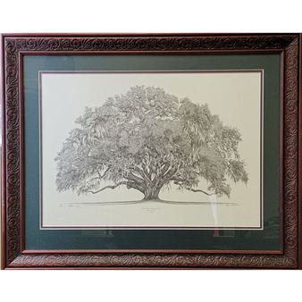 The William Bartram Oak Astor - William Bartram