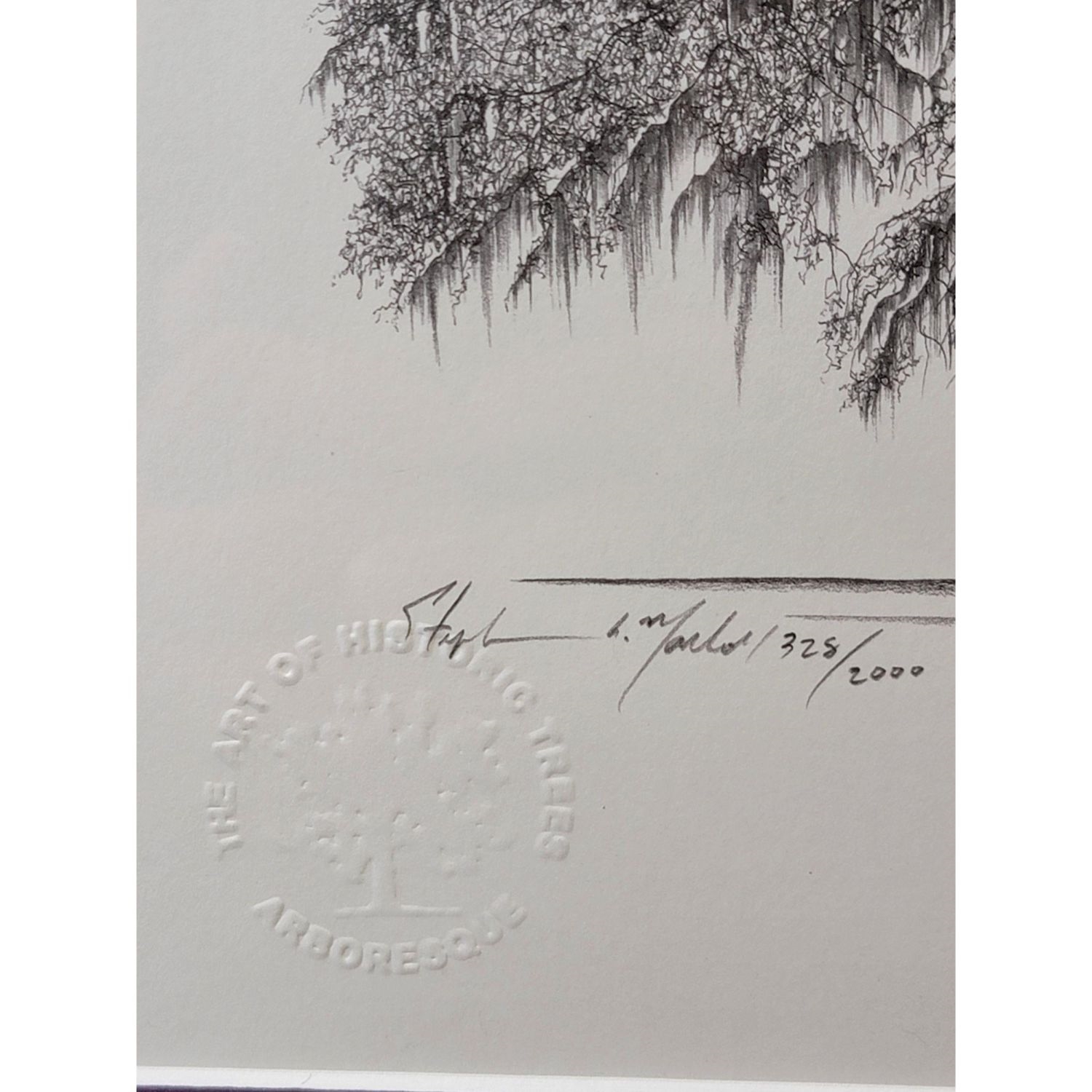Artwork by William Bartram, Stephen Malkoff, The William Bartram Oak Astor, Made of Print