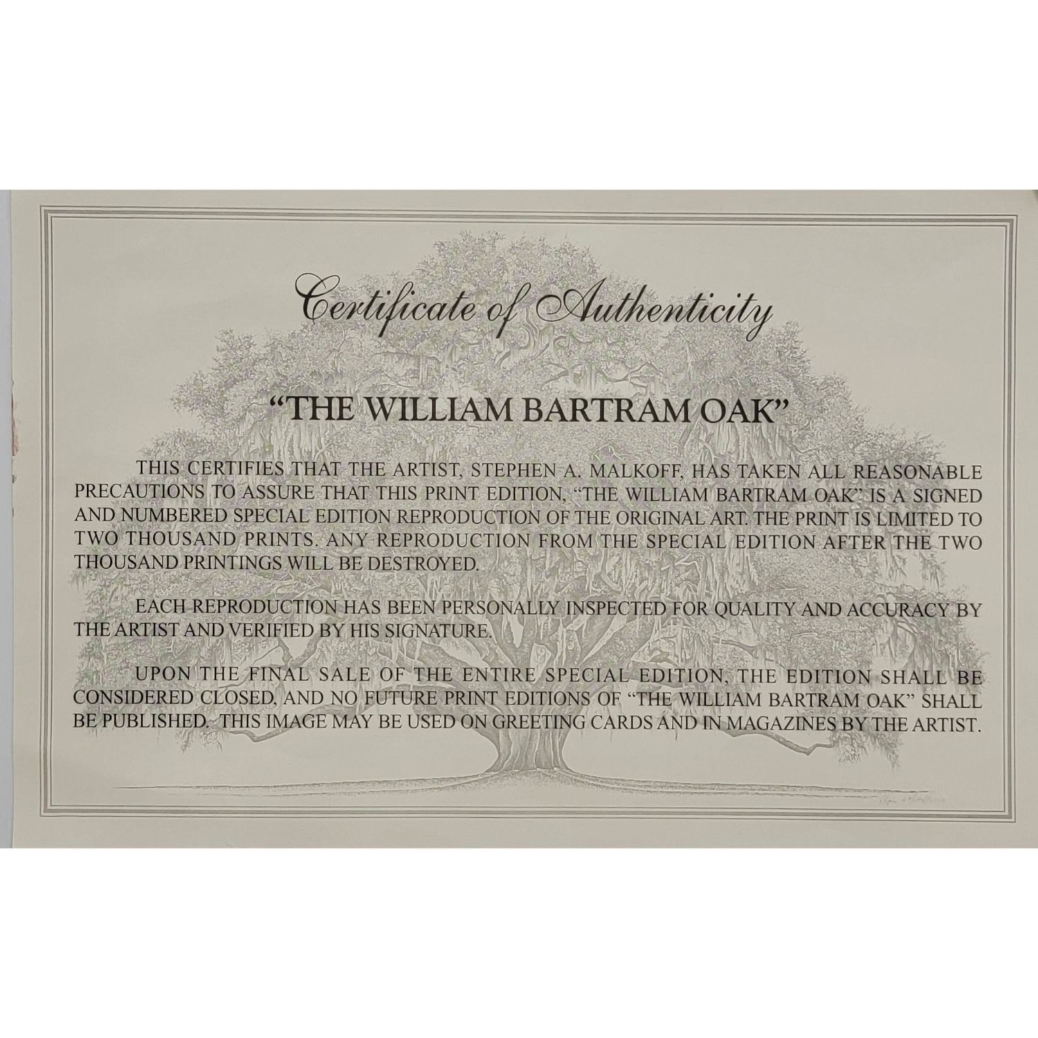 Artwork by William Bartram, Stephen Malkoff, The William Bartram Oak Astor, Made of Print