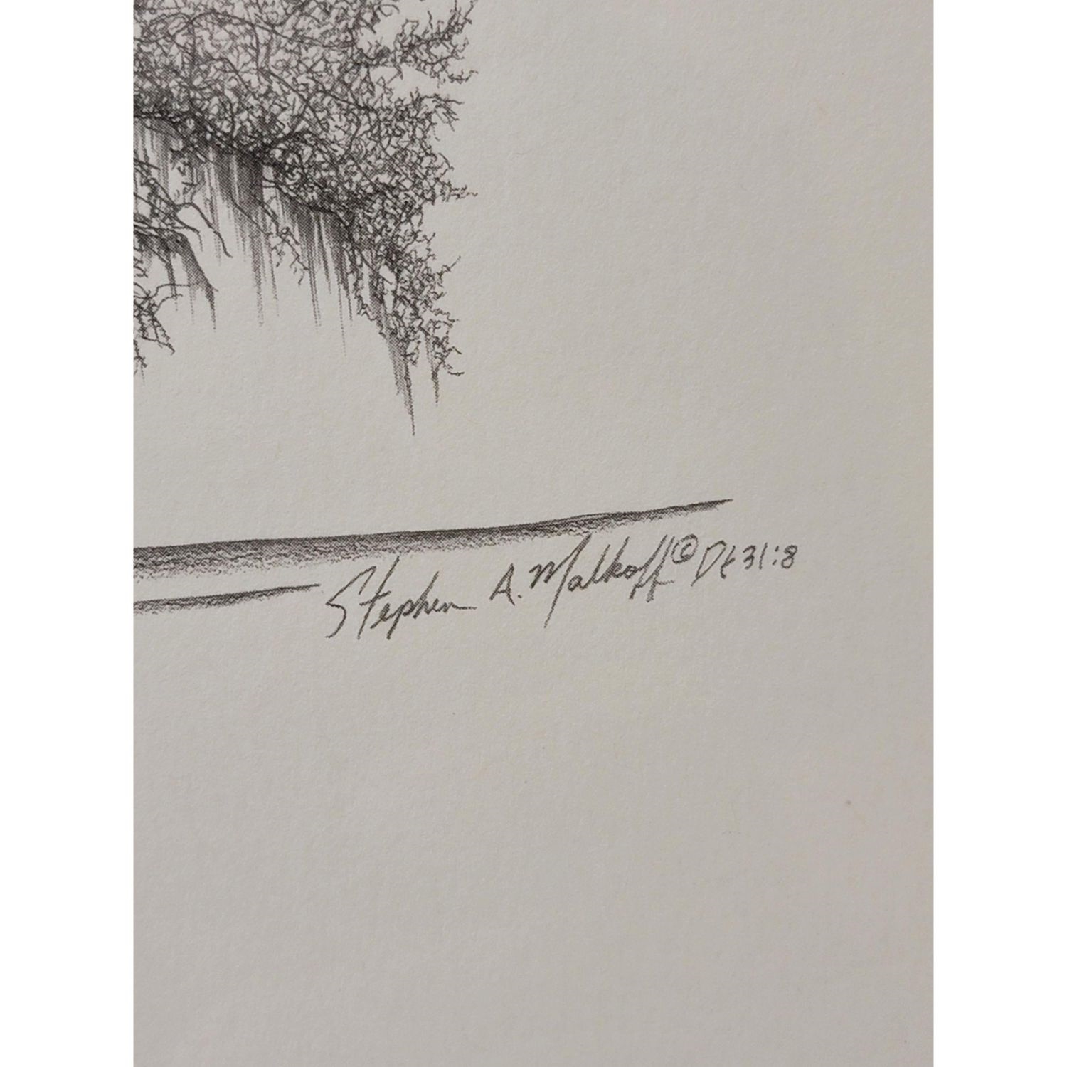 Artwork by William Bartram, Stephen Malkoff, The William Bartram Oak Astor, Made of Print