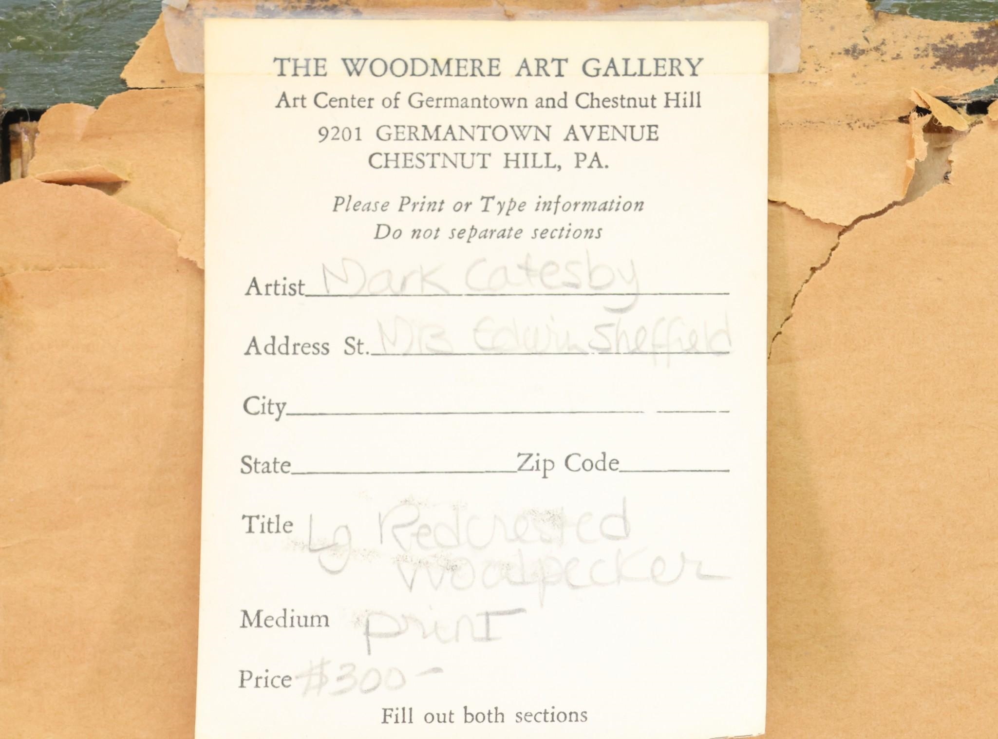 Mark Catesby | The Large Red Crested Woodpecker | MutualArt