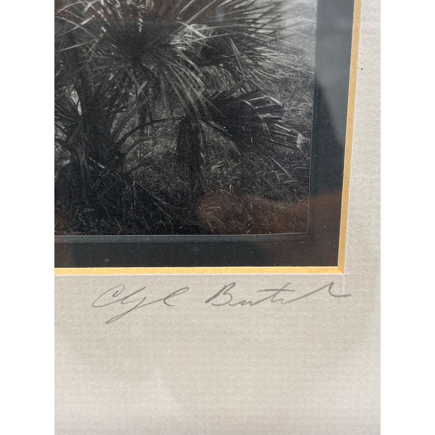 Clyde Butcher Clyde Butcher (B. 1942) Pencil Signed Photograph Flori