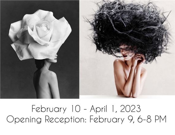 PatrickDemarchalier 写真集　ExposingElegance Patrick Demarchalier: Exposing Elegance（Patrick