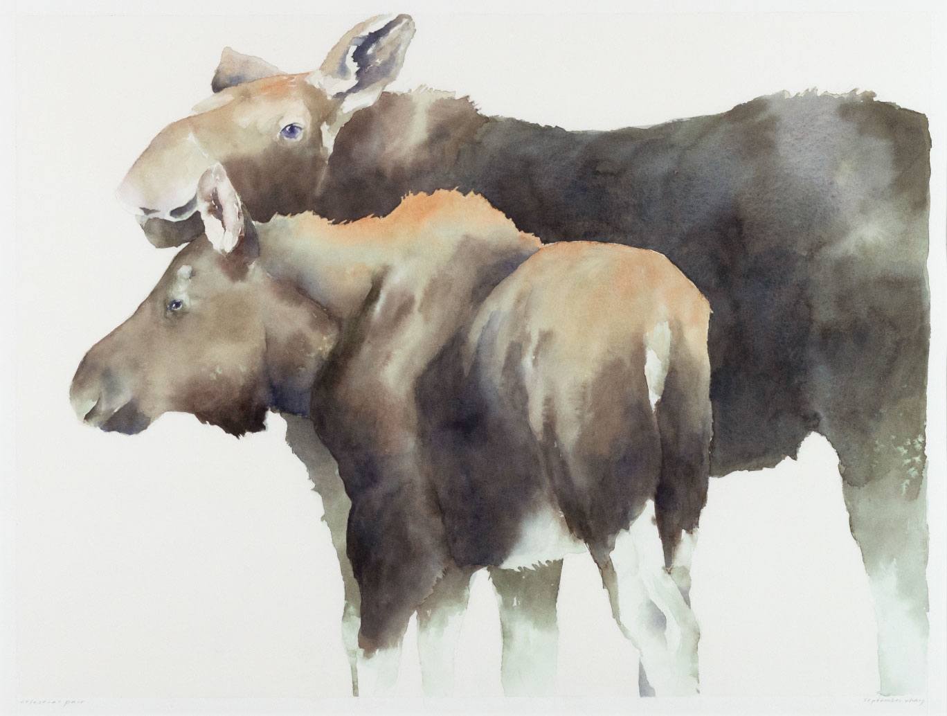 Artwork by September Vhay, September Vhay (1960-) Celestial Pair, Made of watercolor on paper