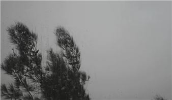 A Momentary Absence - Galerist
