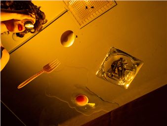 Tania Franco Klein: Break In Case Of Emergency (Flies, Forks, And Fires) - RoseGallery