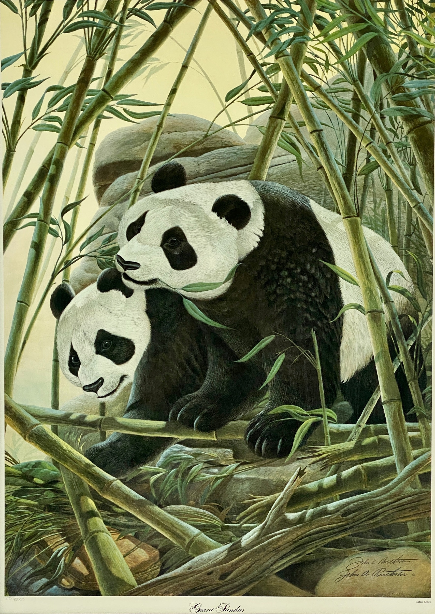 John Ruthven | Giant Pandas | MutualArt
