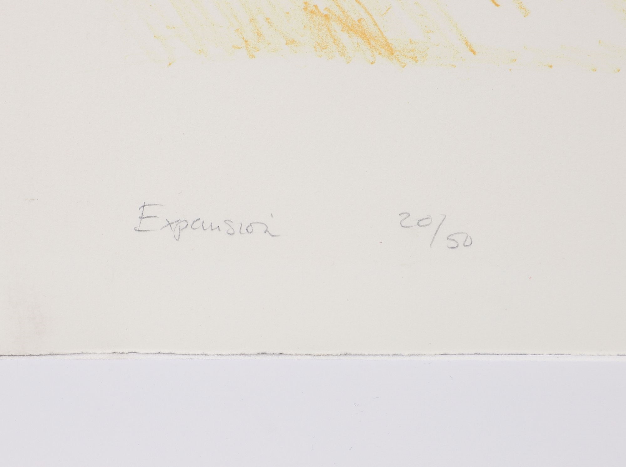 Artwork by Susan Crile, Expansion, Made of color lithograph on BFK Rives