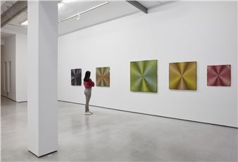 Anoka Faruqee & David Driscoll - Galería Cayón, Madrid
