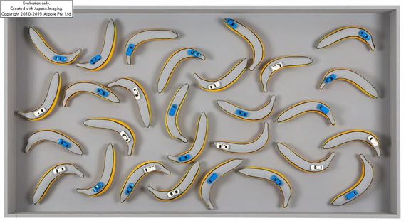 Bacteria Culture by Marcin Berdyszak, 2015