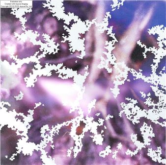 A Journey of an Image - Kamila Walendykiewicz