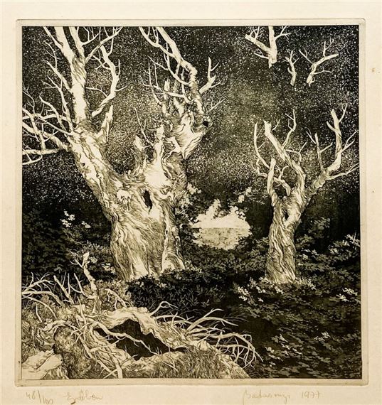 In the woods - Sándor Badacsonyi