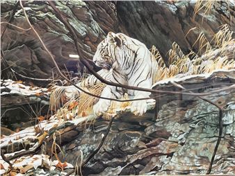 Linda Daniels Signed “ Respite” White Tiger Litho - Linda Daniels