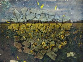Abelardo Morell Travels ‘In the Footsteps of van Gogh’ at Krakow Witkin Gallery
