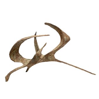 Abstract Form - Tio Giambruni