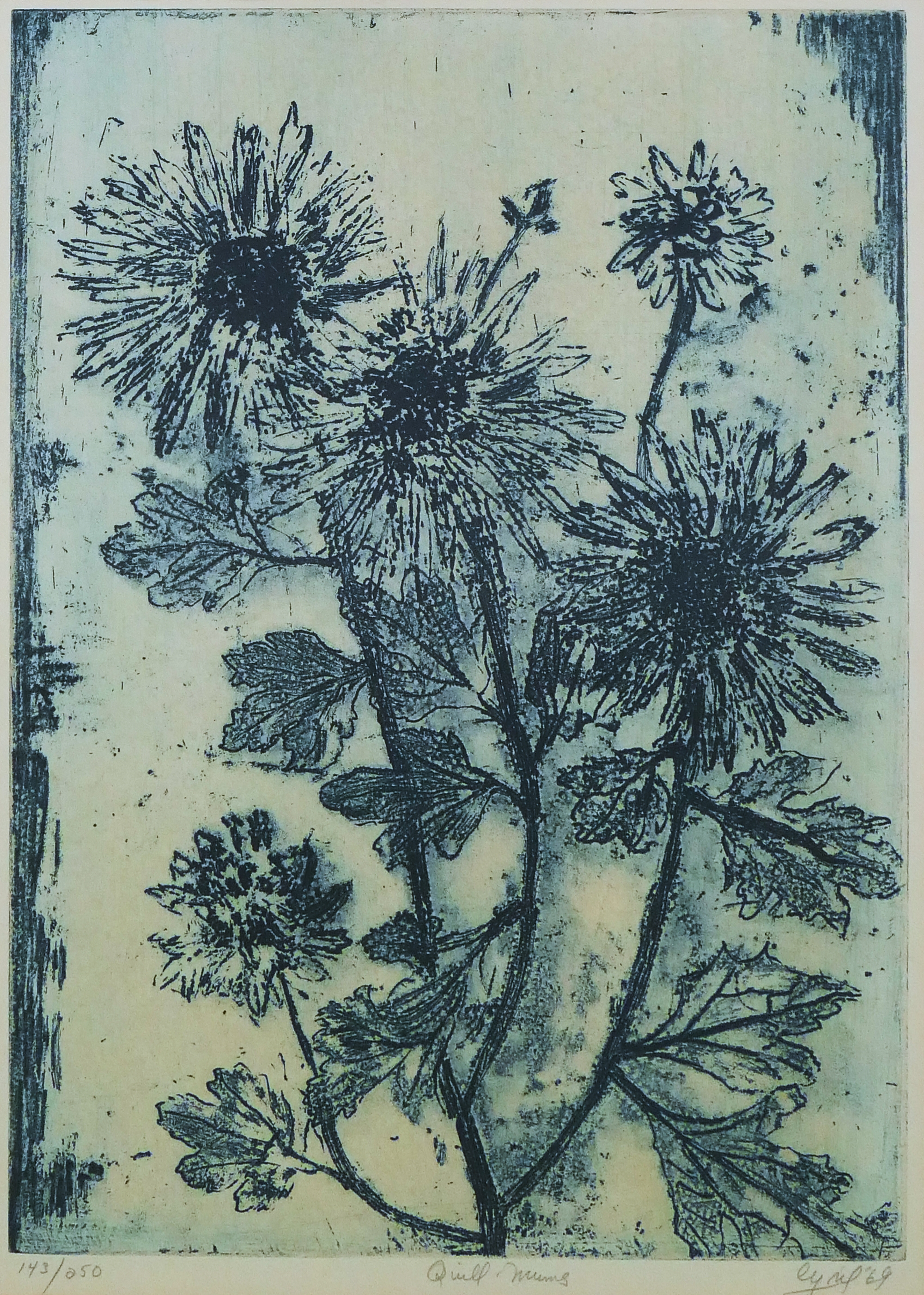Ruth Cyril | Ruth Cyril (1938-1988 New York) 'Quill Mums' AAA Etching ...