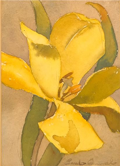 チューリップ  The history and typification of Lilium brownii A.Lemoinier