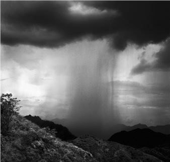 B&W Vision - Vision Neil Folberg Gallery
