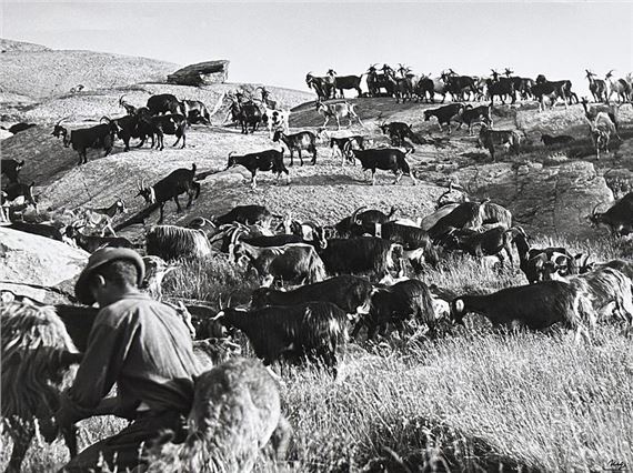 MONTAGNE Chevrier dans les Merveilles by Louis Ingigliardi, August 1956