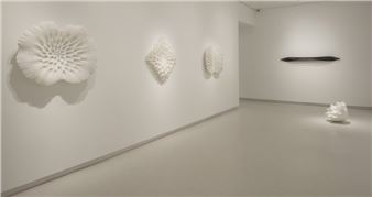 Juan Asensio - Galería Elvira González