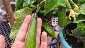 Groundbreaking Performance Art Exhibition Opens at the Neuberger Museum of Art