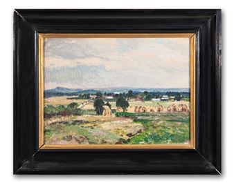 Vlkanov na Vysočině - Jaromír Sedláček-Hauptmann