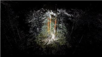 Onsite Gallery Presents More-than-Human