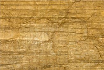 The Golden Myth - Proa Foundation