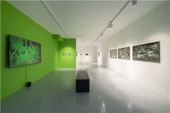 collectif_fact: DISSONANCE - Wilde, Geneva