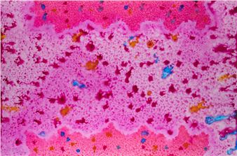 Untitled - Tim Nordin