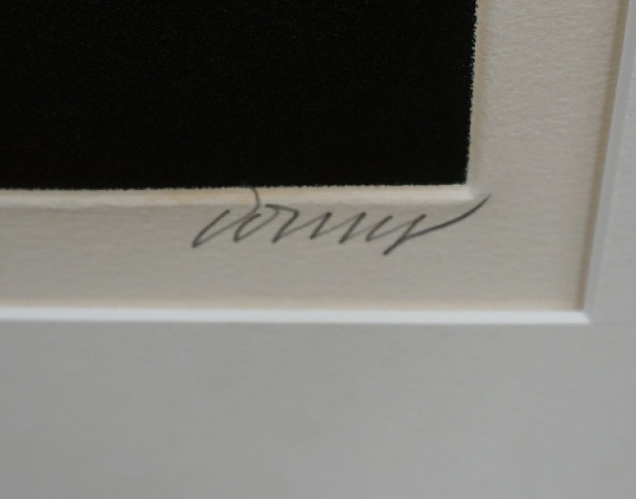 Bertrand Dorny | Untitled Shapes | MutualArt