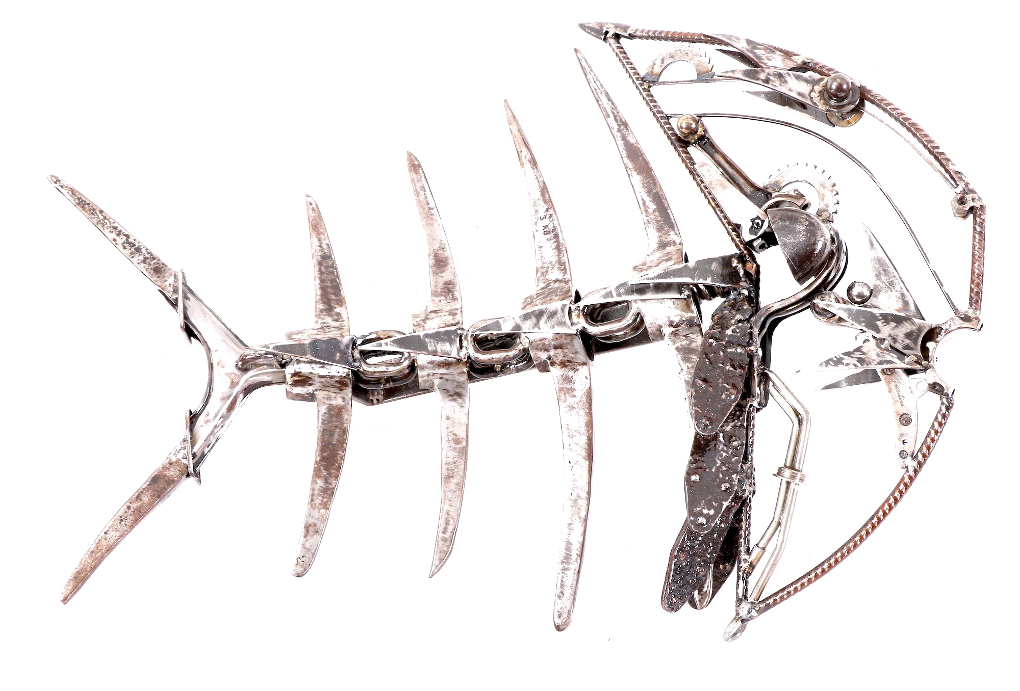Niel Le Roux | FISH | MutualArt