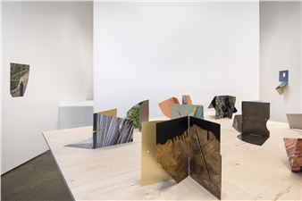 Letha Wilson: Folds and Faults - Higher Pictures Generation