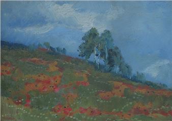 Rozkvetlá louka - Robert F. Wacík