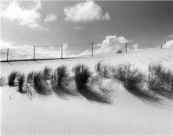 Cronulla sandhills - Peter Solness