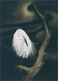 Curtain - Nagasawa Akio