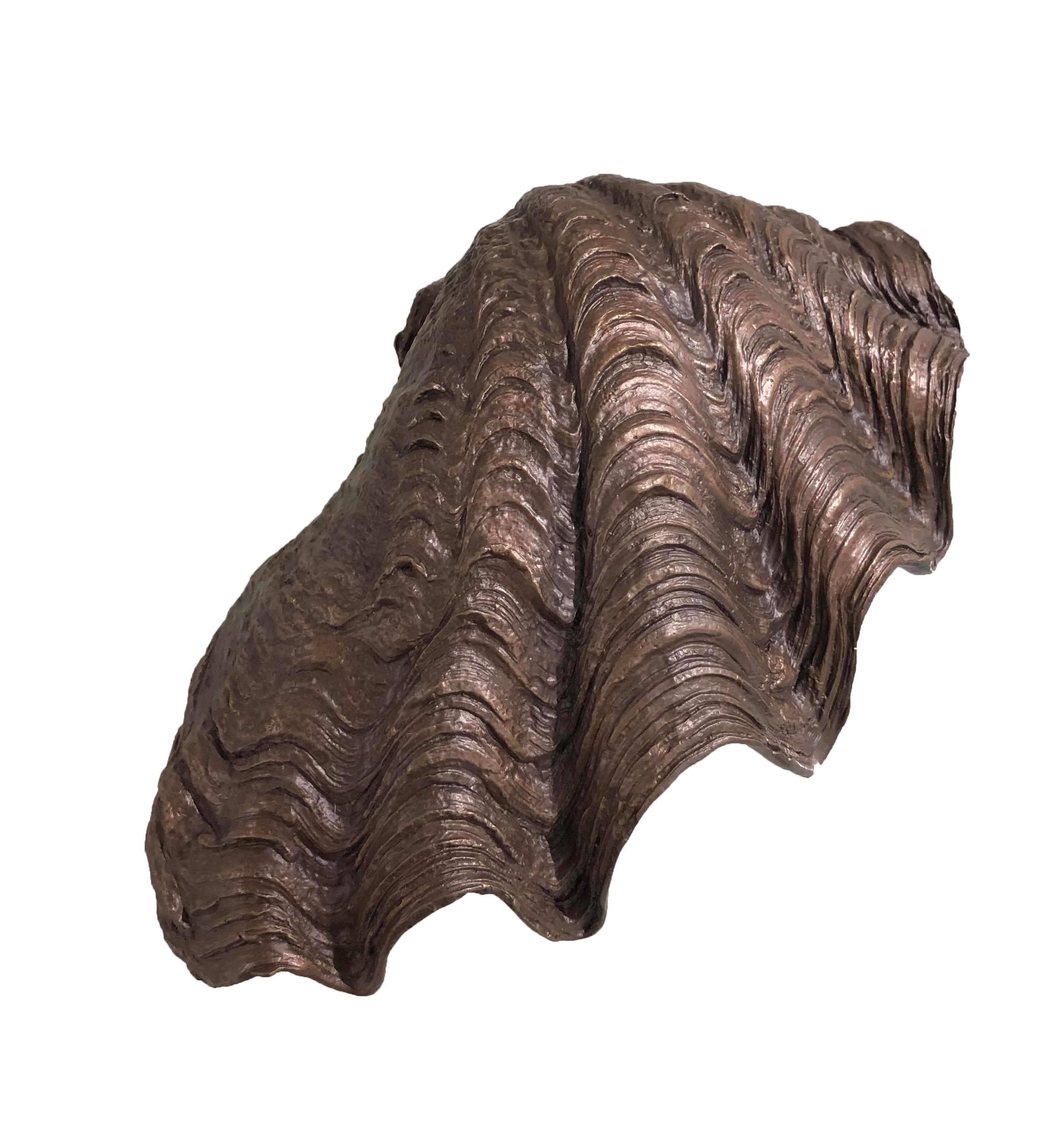 Artwork by Natalie Guy, Clam, Made of Bronze on 3D plastic