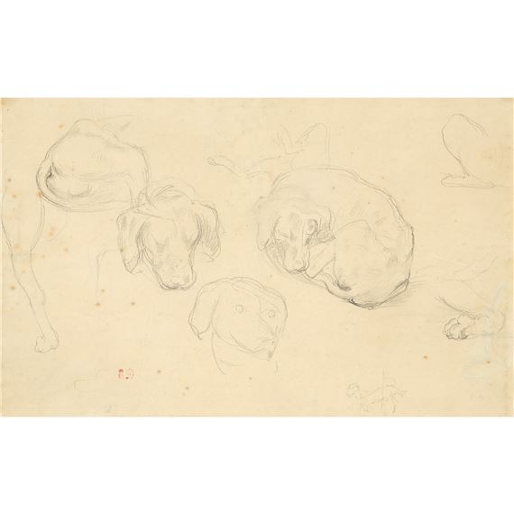 STUDY OF DOGS by Eugène Delacroix