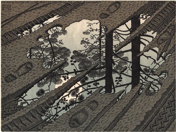 Modderplas [Puddle] by Maurits Cornelis Escher, 1952
