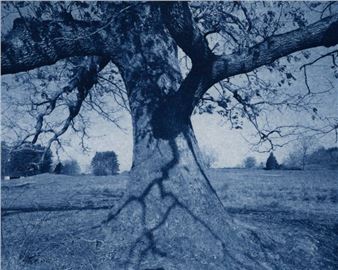 Bill Franson: Landscape in Blue - Gallery Kayafas