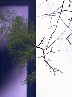 Emily Belz: Duet / He Hid His Face - Gallery Kayafas