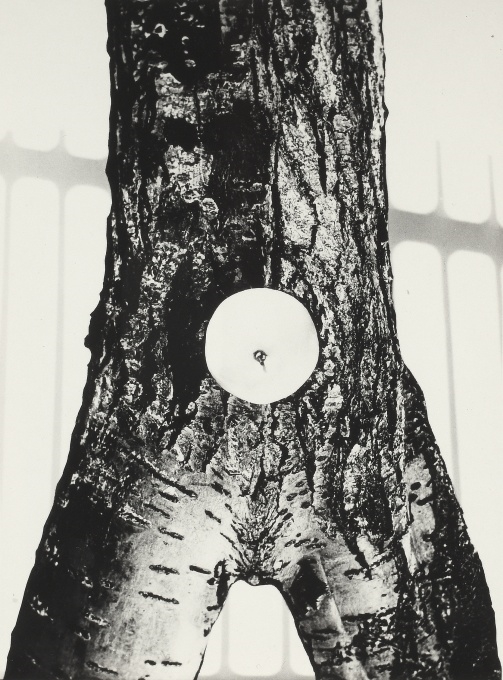 Artwork by Drahotin Sulla, Strom - žena, 60. léta, Made of gelatin silver print