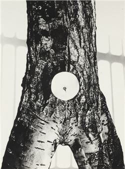 Strom - žena, 60. léta - Drahotin Sulla