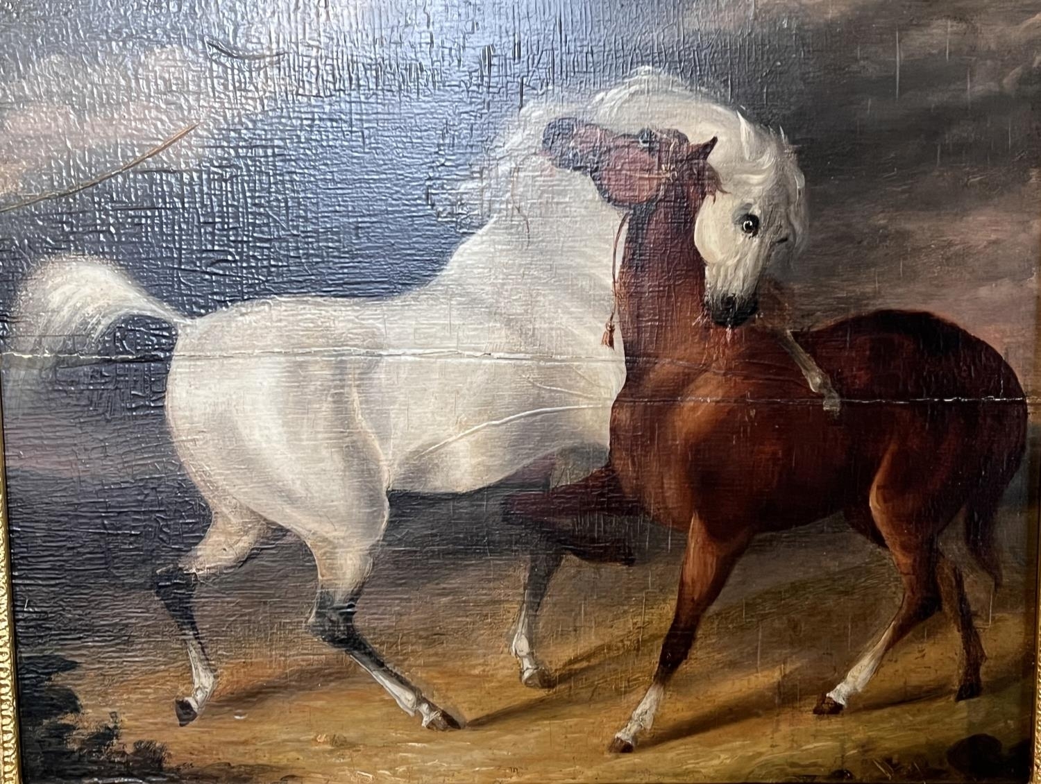 Artwork by George Stubbs, Follower of George Stubbs (1724-1806) oil on board white and brown horse intertwined, Made of oil on board