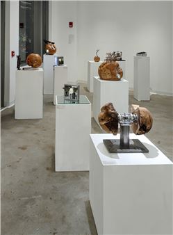 In the Galleries: Using Technology as a Medium and an Inspiration