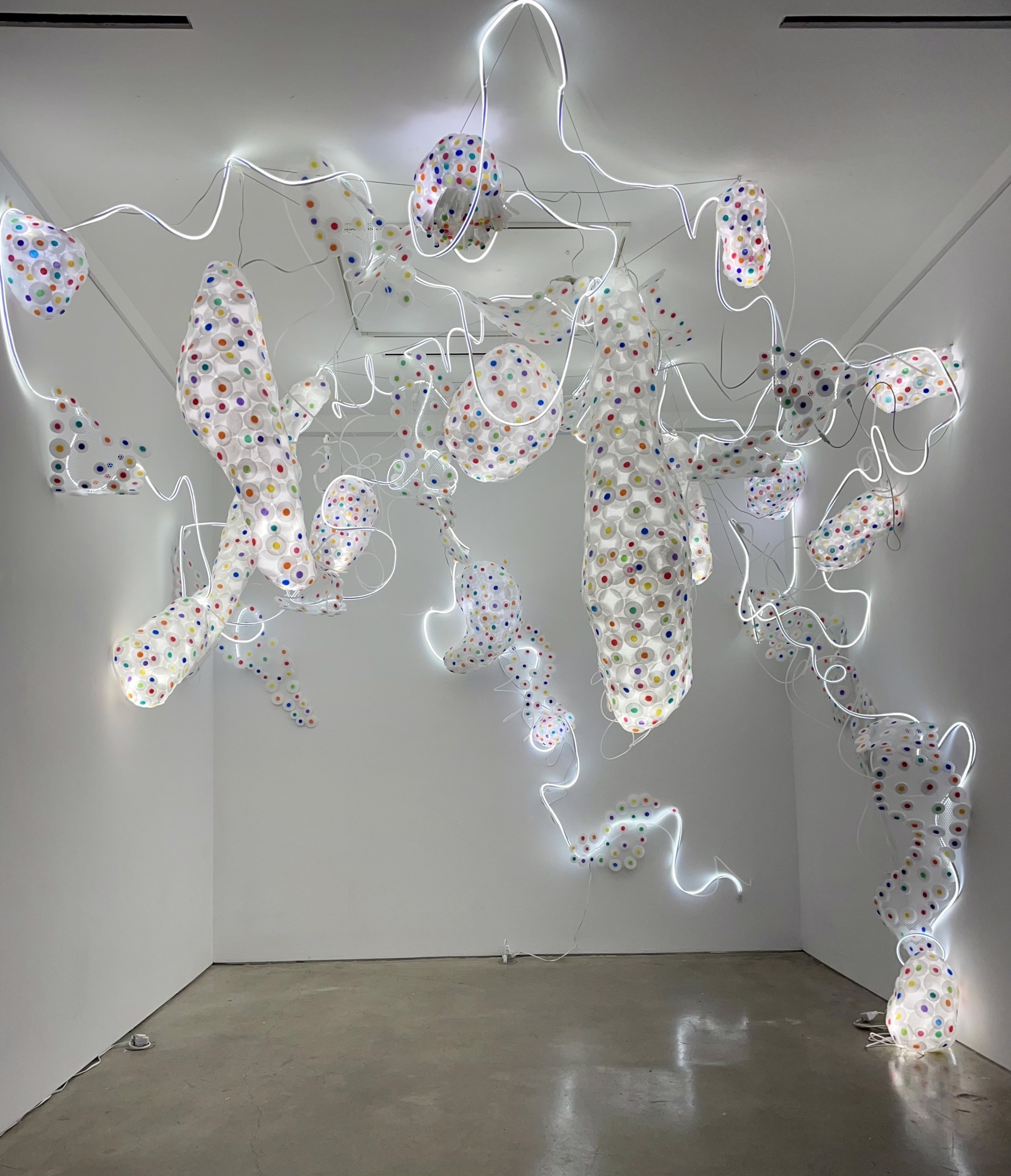 Adela Andea: Midnight Zone(S) at Anya Tish Gallery