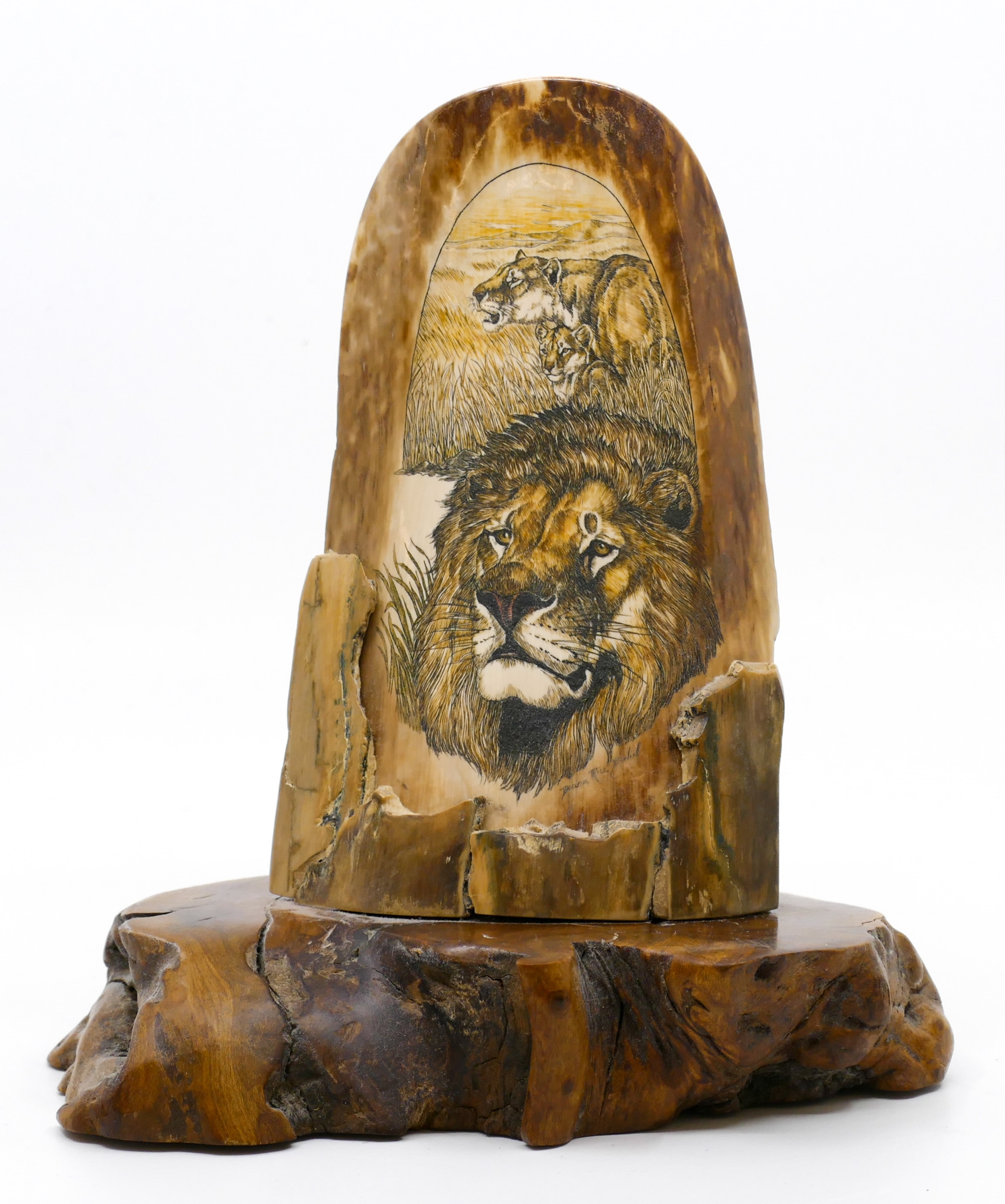 Diana Rice Bonin | Diana Rice Bonin Scrimshawed Lion Fossilized Tusk ...