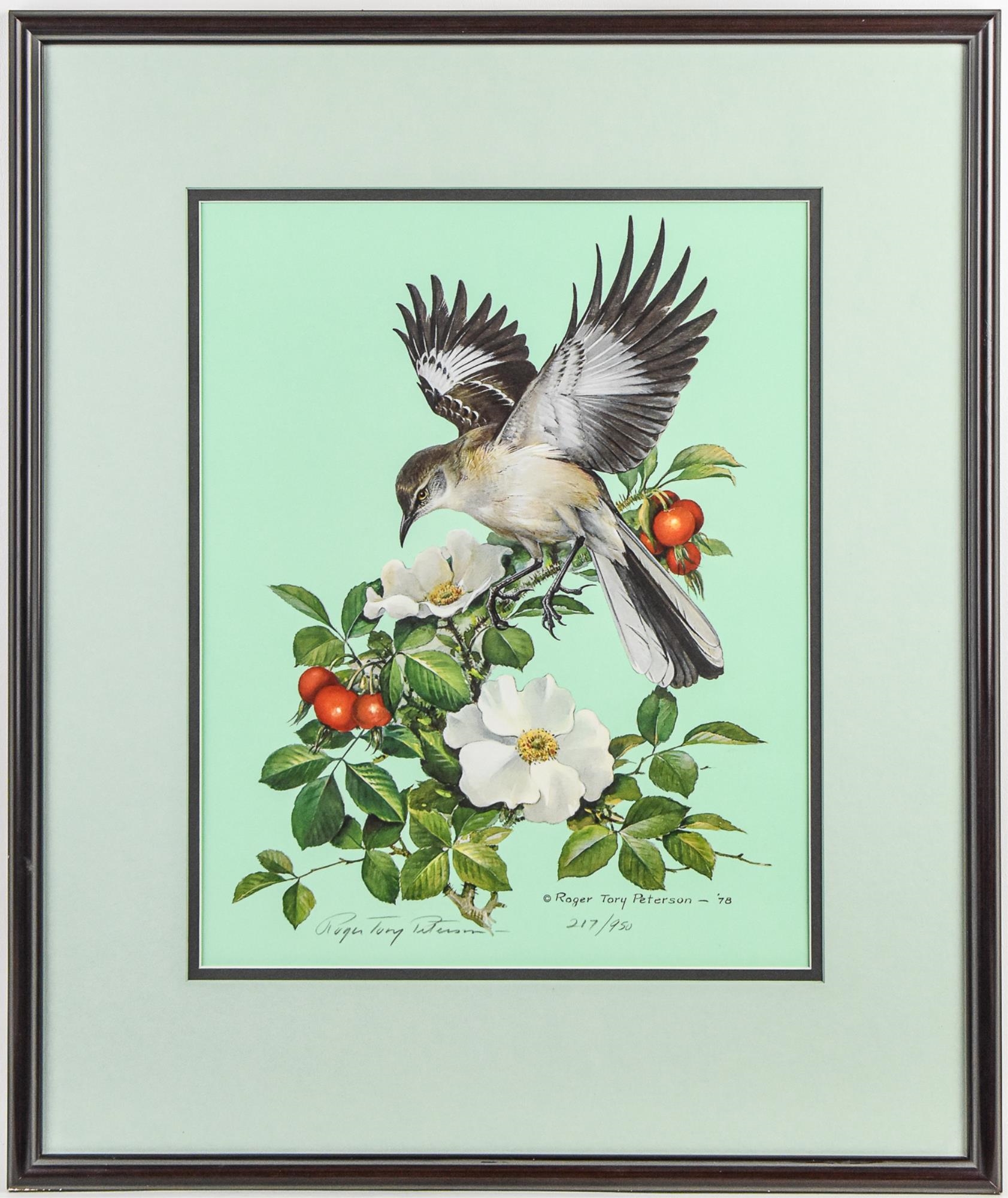 Artwork by Roger Tory Peterson, "MOCKINGBIRD", Made of lithographic print