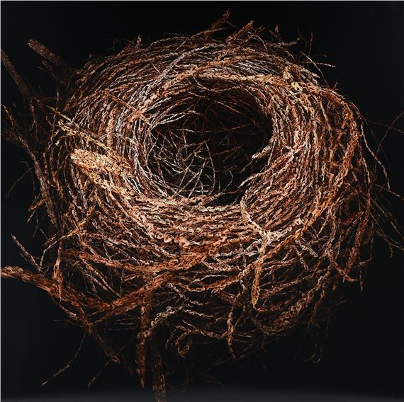 Ovum #2 - Angelo Musco