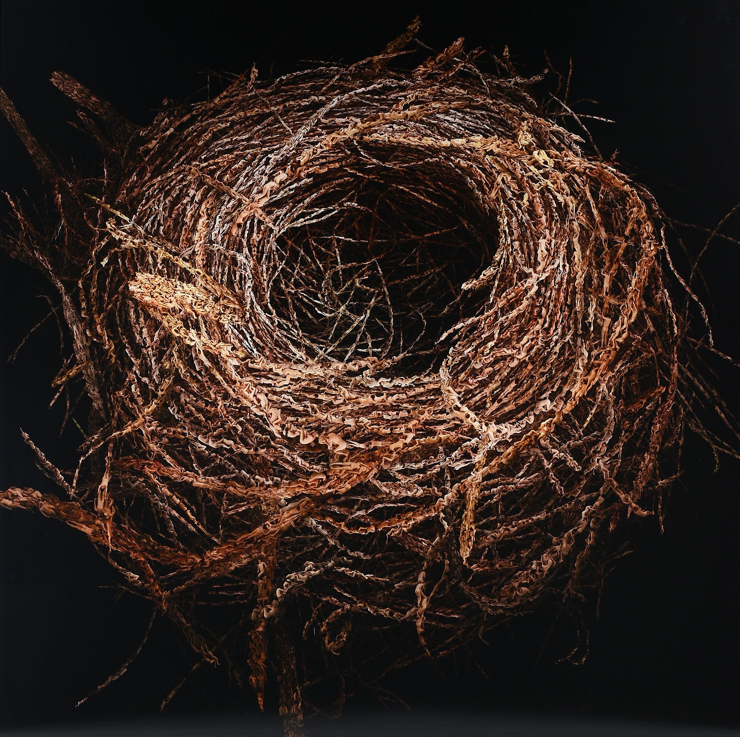 Artwork by Angelo Musco, Ovum #2, Made of digital C-print mounted between aluminum and plexiglass